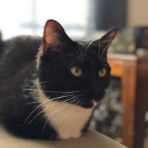 Meet your Posher, Artem